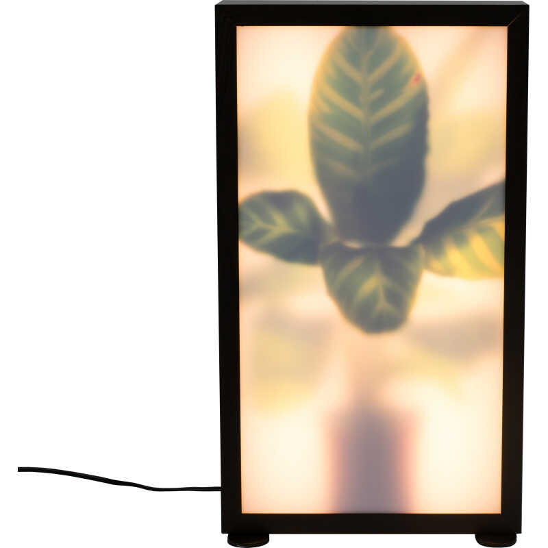 ZUIVER Grow M golvlampa - glas och svart trä ZUIVER Grow M golvlampa - glas och svart trä