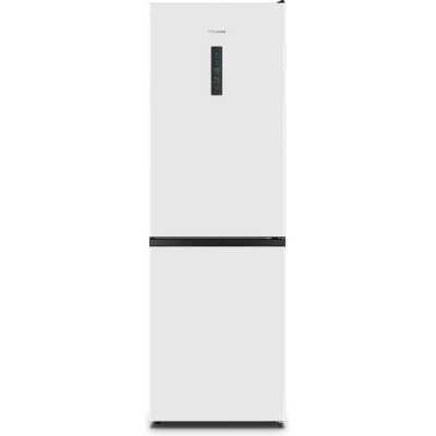 Hisense RB390N4CWD1