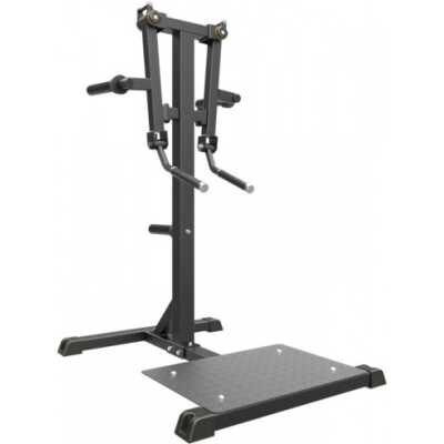 Impulse IFP Standing Lateral Raise - Axeltränare