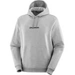 Salomon Men's Logo Pull Over Heather Grey