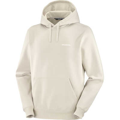 Salomon Men's Salomon Logo Hoodie Rainy Day