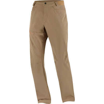 Salomon Men's Wayfarer Pant Shitake
